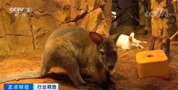 KY开元集团官网_
足球直播:荷兰vs 波黑 意大利vs 波兰 A组谁能占得先机(图1) ky开元