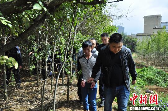 KY开元集团官网