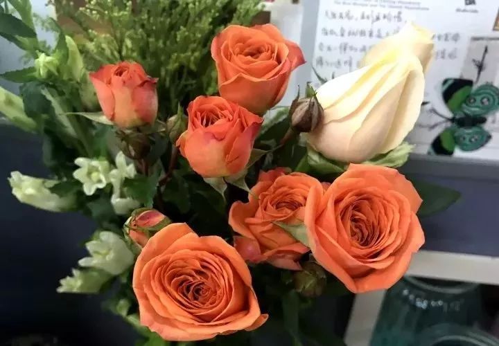 你双眼皮800块与她8000块有区别吗|KY开元集团官网(图2) ky开元