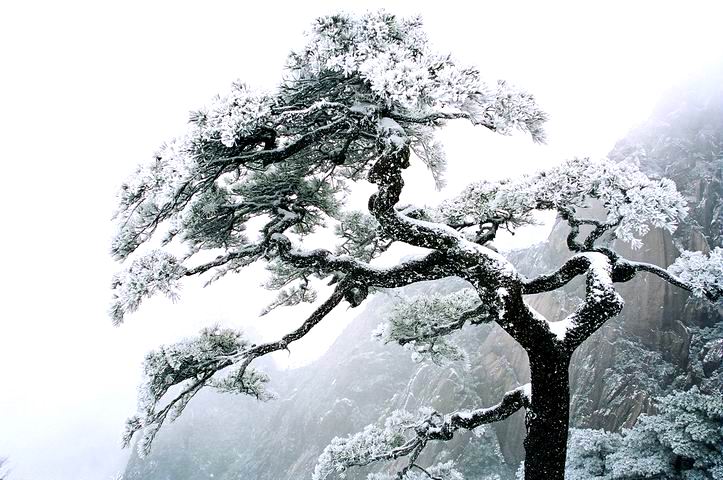 “ky集团首页”
农妇遭遇“美容贷” 说好的980元除皱酿成4万贷款(图2) ky开元