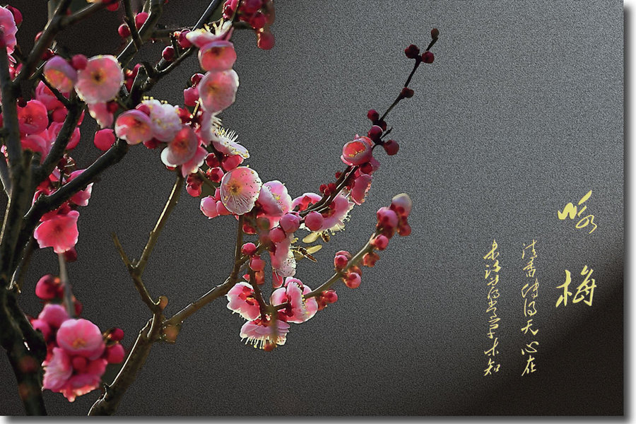 ky集团首页|【品牌整形】武汉美仑让求美者的治疗效果有保障(图1) ky集团首页