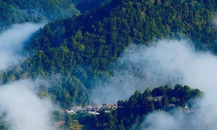 万水千山粽是情,情系端午变美清单_ky开元(图1) KY开元集团官网