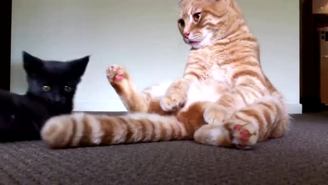 采用定制灵动媚眼术可以让眼睛变漂亮-ky集团首页(图1) ky集团首页