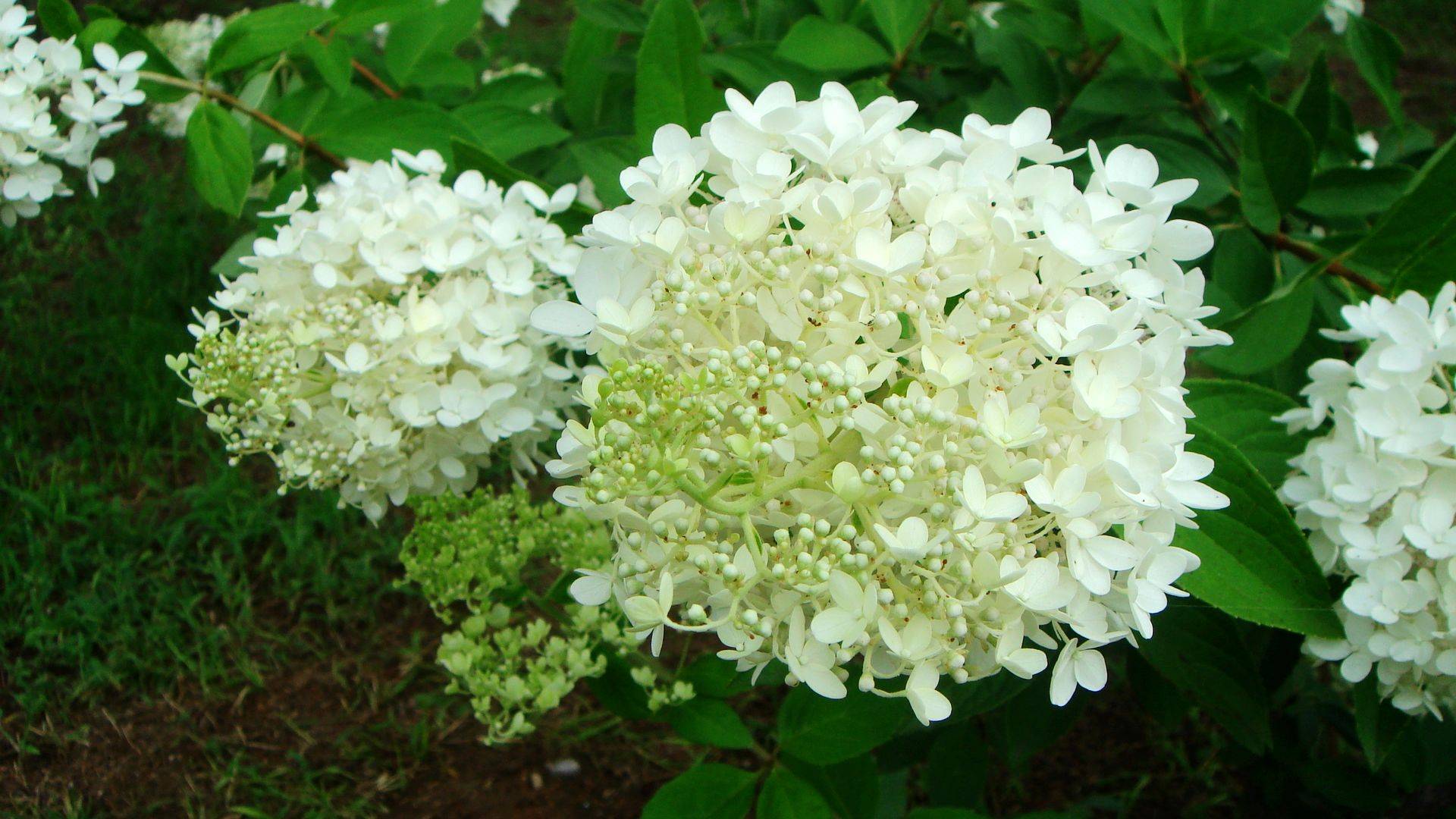 ky集团首页:
11月7日星座运势:一气呵成 稳操胜券的四大星座(图2) ky集团首页:
11月7日星座运势:一气呵成 稳操胜券的四大星座(图2)