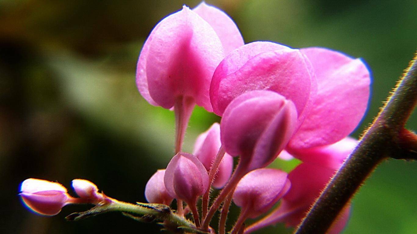 ky集团首页:
11月7日星座运势:一气呵成 稳操胜券的四大星座(图4) ky集团首页:
11月7日星座运势:一气呵成 稳操胜券的四大星座(图4)