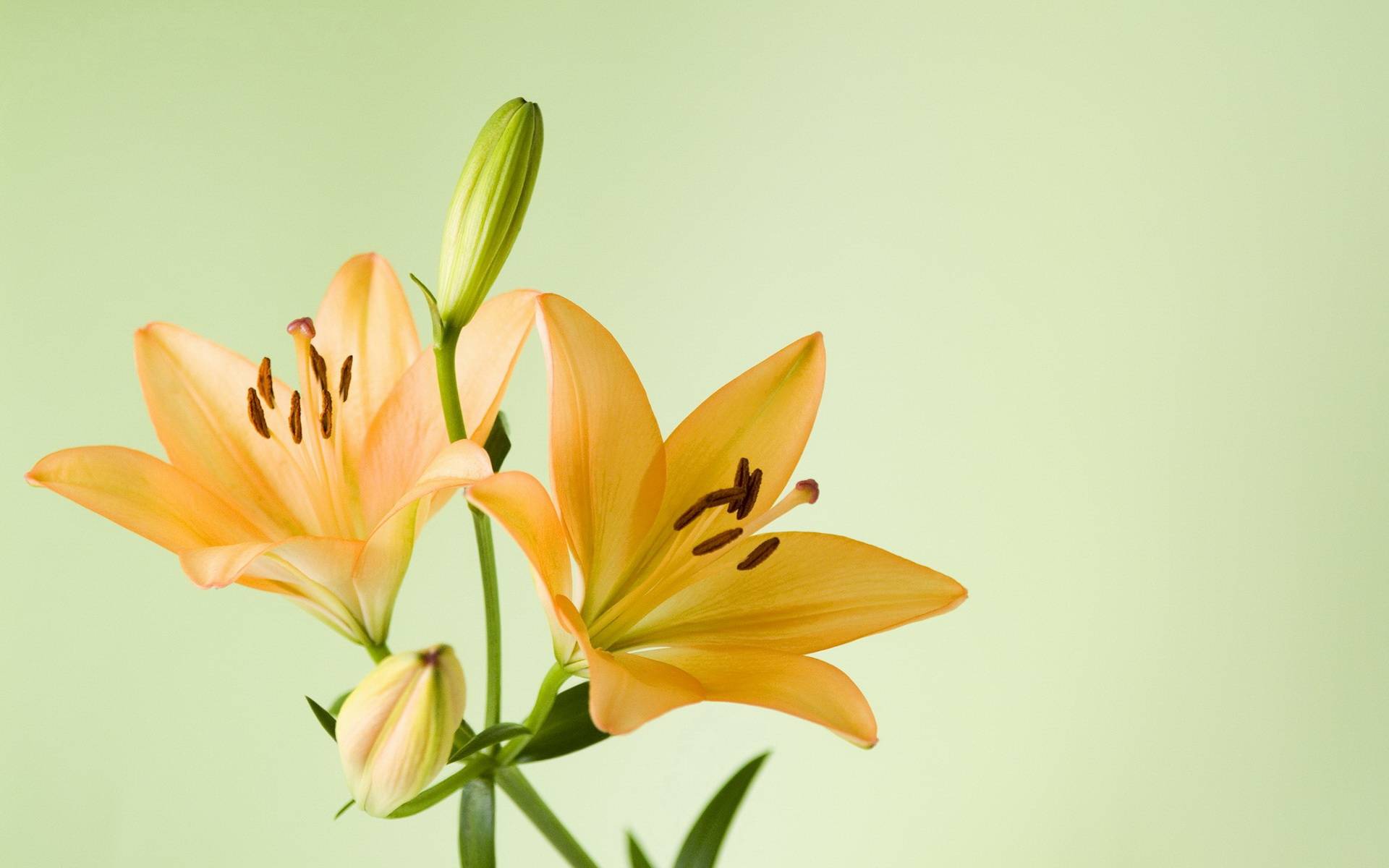 ky集团首页:
11月7日星座运势:一气呵成 稳操胜券的四大星座(图6) ky集团首页:
11月7日星座运势:一气呵成 稳操胜券的四大星座(图6)