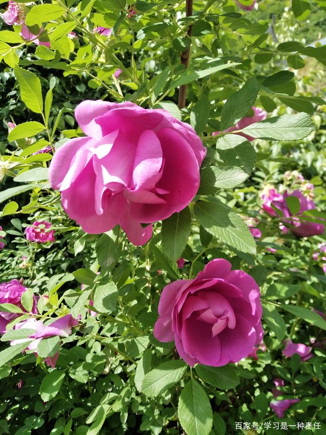 KY开元集团官网:
乌克兰VS德国欧国联赛事前瞻分析(图2) KY开元集团官网