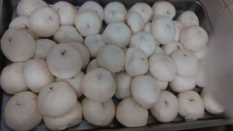 1985-1986赛季欧冠决赛巡礼-布加勒斯特星vs巴萨‘ky集团首页’(图1) ky开元