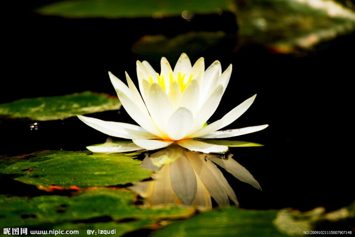 内少不回巴萨心不甘 曼联不进欧冠损失大 7月15日国际足坛听说_ky集团首页(图1) ky开元