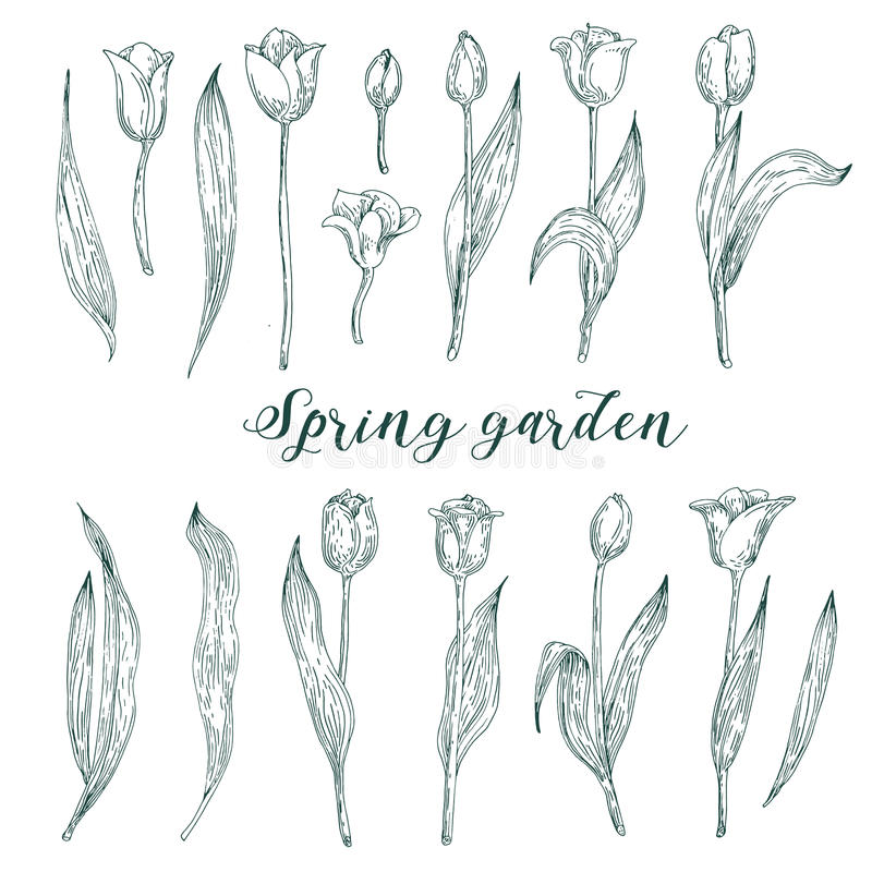 冯传波解答了心头隆胸手术的各种疑问:ky开元(图2) ky开元